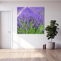 Obraz na płótnie 30x30 - Lawendowe pola piękno natury - lawenda, kwiaty