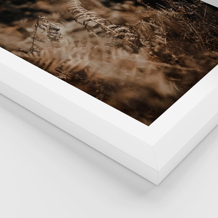 Plakat w ramie 30x40 - Delikatne Detale - paprocie, brąz - rama biała