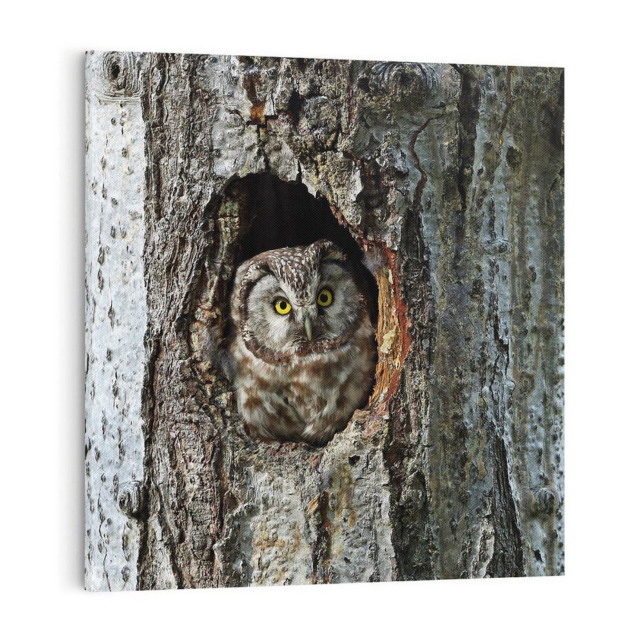 Obraz na płótnie 70x70 - Tajemniczy W świecie Nocy - sowa, dziupla