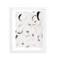 Plakat w ramie 40x50 - Kompozycja z Piór - pióra, kompozycja - rama biała
