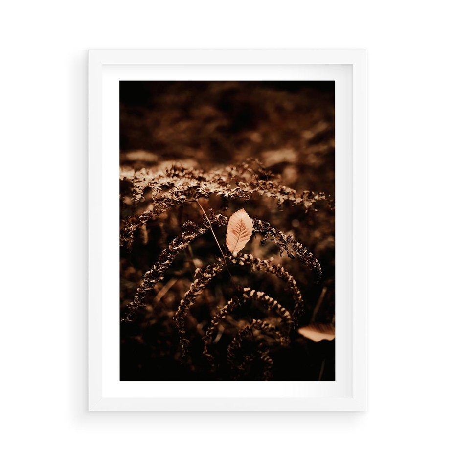 Plakat w ramie 50x70 - Gałęzie i Liść w Brązowej Tonacji - suche gałęzie, liść - rama biała