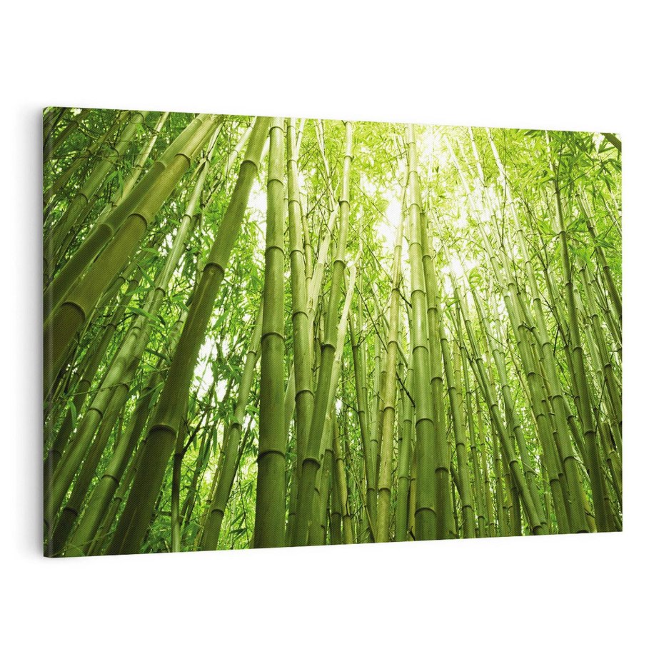 Obraz na płótnie 100x70 - Siła Natury - drzewa, las