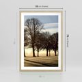 Plakat w ramie 50x70 - Siła natury - drzewa, pole - rama drewno