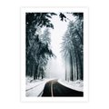 Plakat bez ramy 21x30 - Droga przez Zimowy Las - drzewa, śnieg
