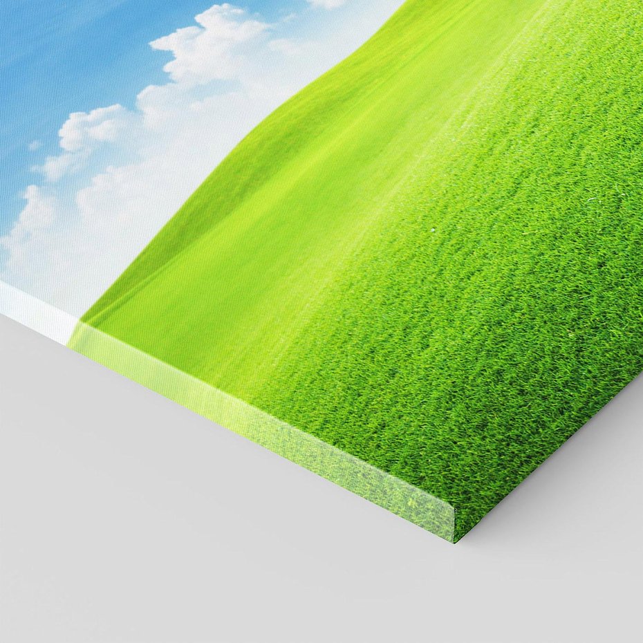 Obraz na płótnie 120x80 - Łąka pod Niebem - łąka, niebo