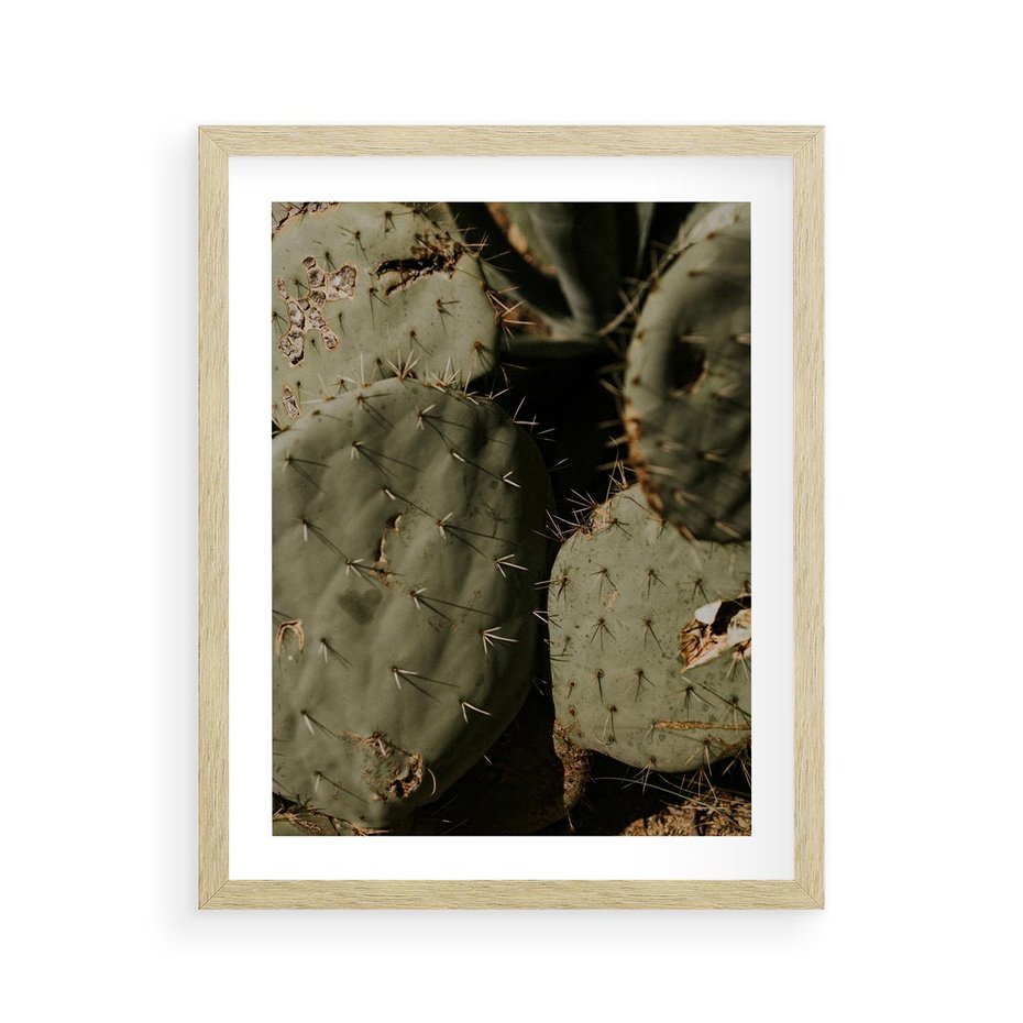 Plakat w ramie 40x50 - Urok Egzotyki - kaktusy, boho - rama drewno