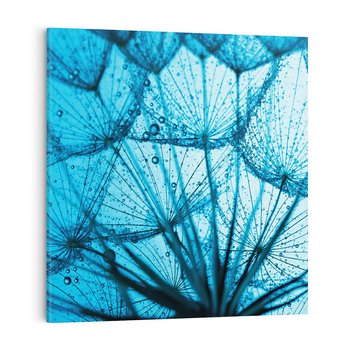 Obraz na płótnie 70x70 - Lekkość dmuchawca wśród kwiatów - dmuchawiec, kwiaty