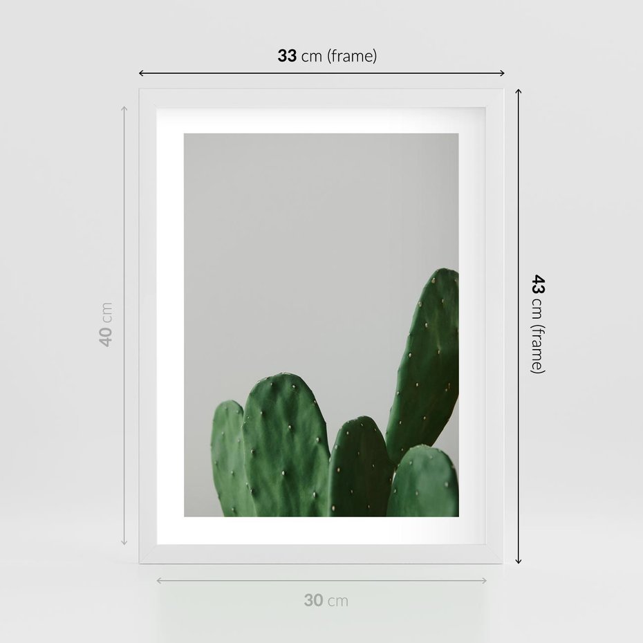 Plakat w ramie 30x40 - Majestatyczne Wysokości - kaktusy, liście - rama biała