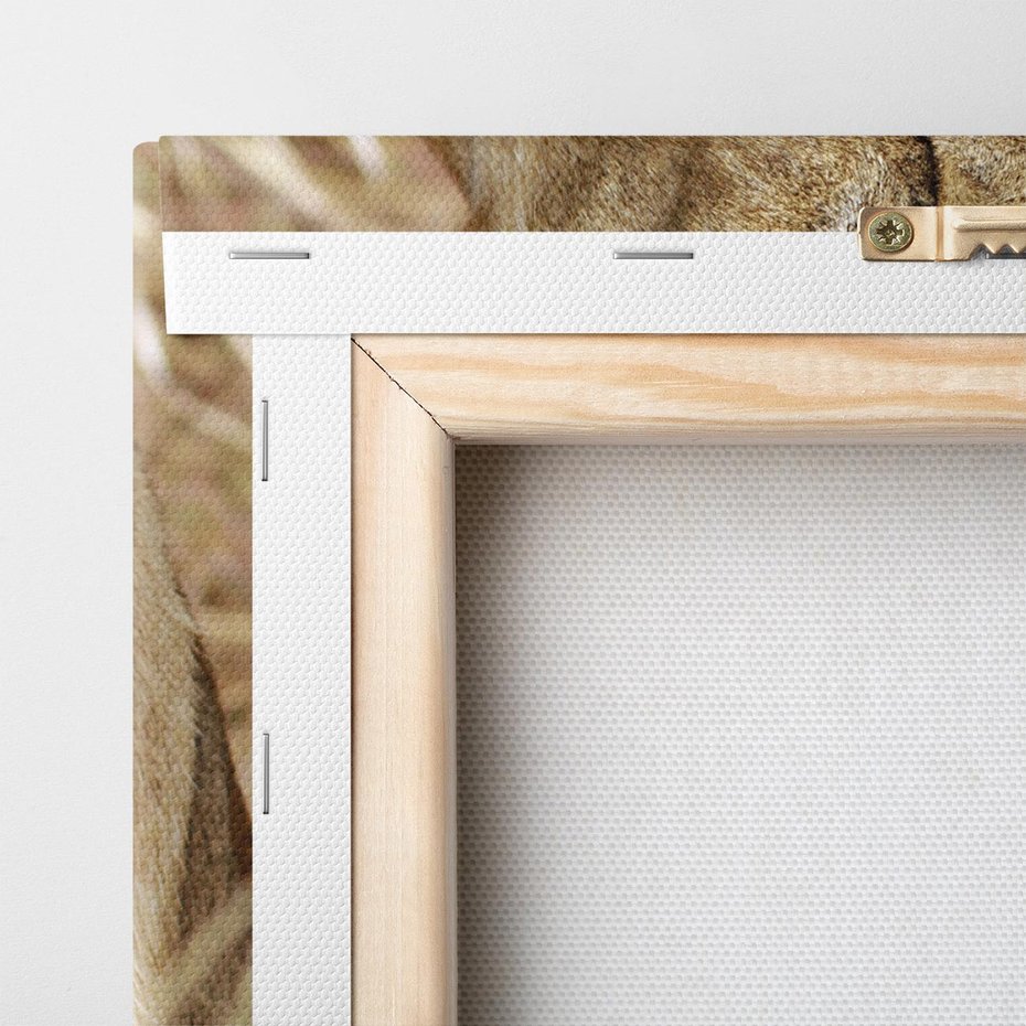 Obraz na płótnie 80x120 - Potęga lwów w Afryce - lew, lwica