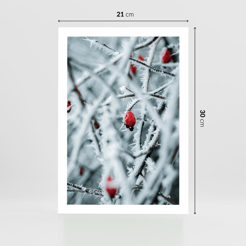 Plakat bez ramy 21x30 - Zima na Gałęziach - zima, oszronione gałęzie