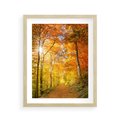 Plakat w ramie 40x50 - Złote barwy jesiennego lasu - las, jesień - rama drewno