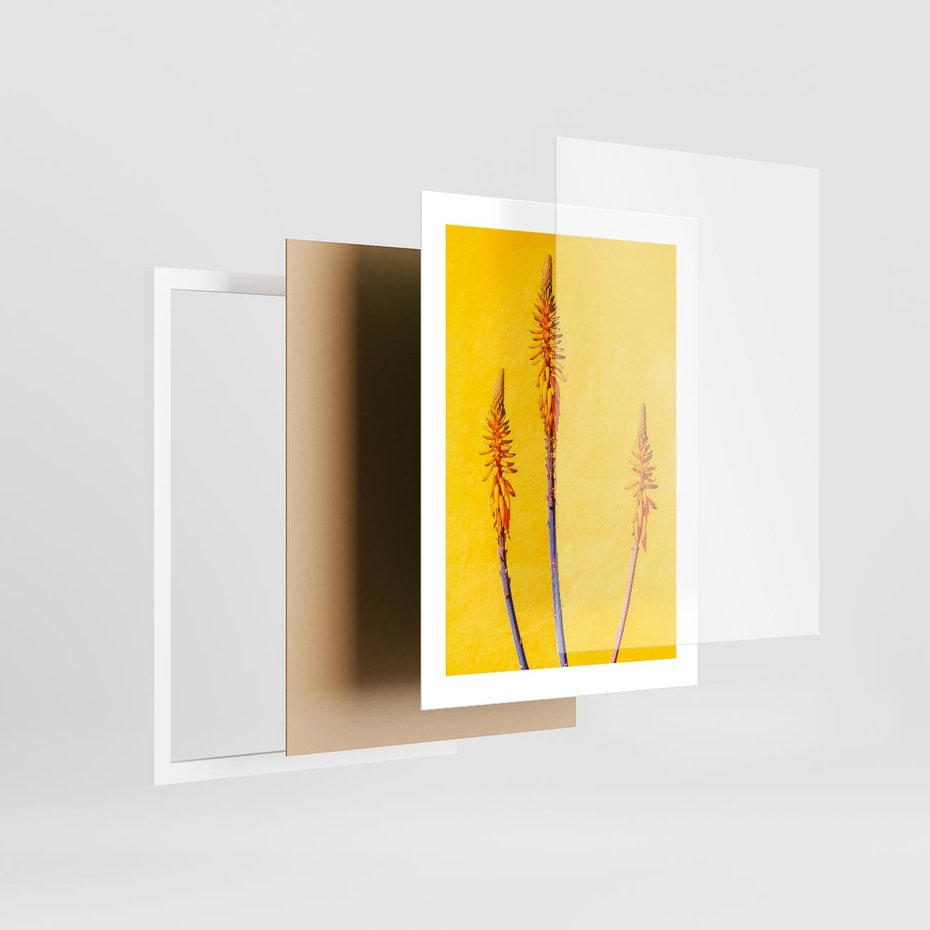 Plakat w ramie 30x40 - Radość Natury - kolor, kwiaty - rama biała