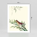 Plakat bez ramy 40x50 - Roślinne Nastroje - japońska sztuka, ptak