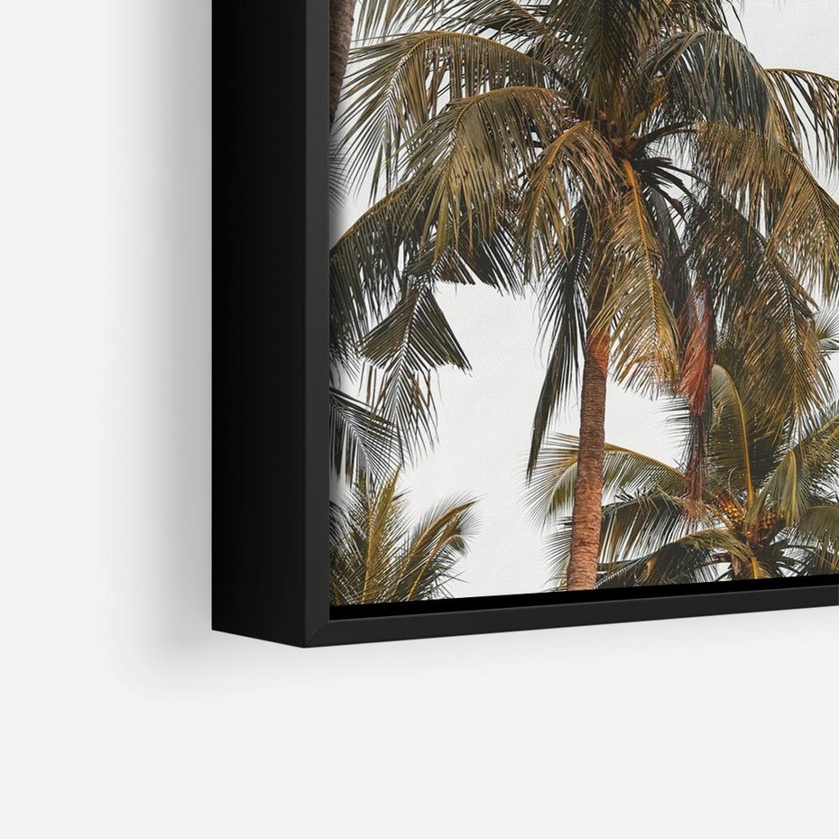 Obraz w ramie 50x50 - Palmy - tęsknota za Hawajami - palmy, Hawaje - rama czarna