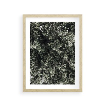 Plakat w ramie 40x50 - Jasnozielone Liście i Gałązki - liście, gałązki - rama drewno