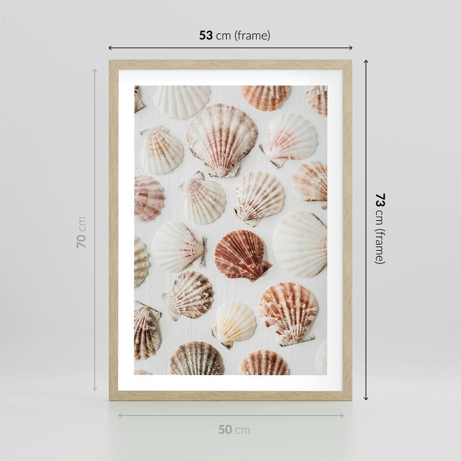 Plakat w ramie 50x70 - Morska Delikatność: Muszelki na Białym Tle - kompozycja, morskie muszelki na białym tle - rama drewno