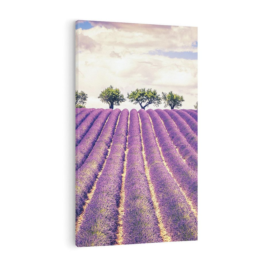 Obraz na płótnie 50x70 - Uroda Lawendy: Kwiatowy Cud Natury - lawenda, kwiaty