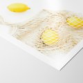 Plakat bez ramy 21x30 - Cytrynowa Siatka - cytryny, materiałowa siatka