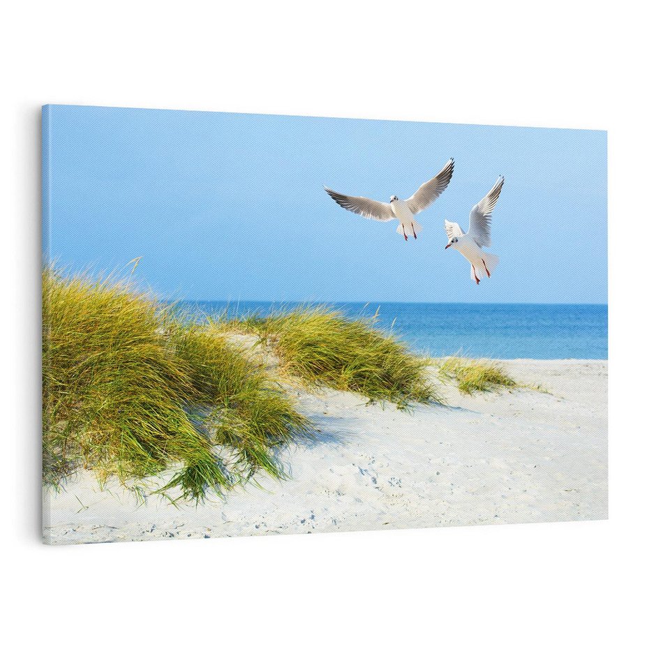 Obraz na płótnie 70x50 - Mewy nad morską plażą - mewy, plaża