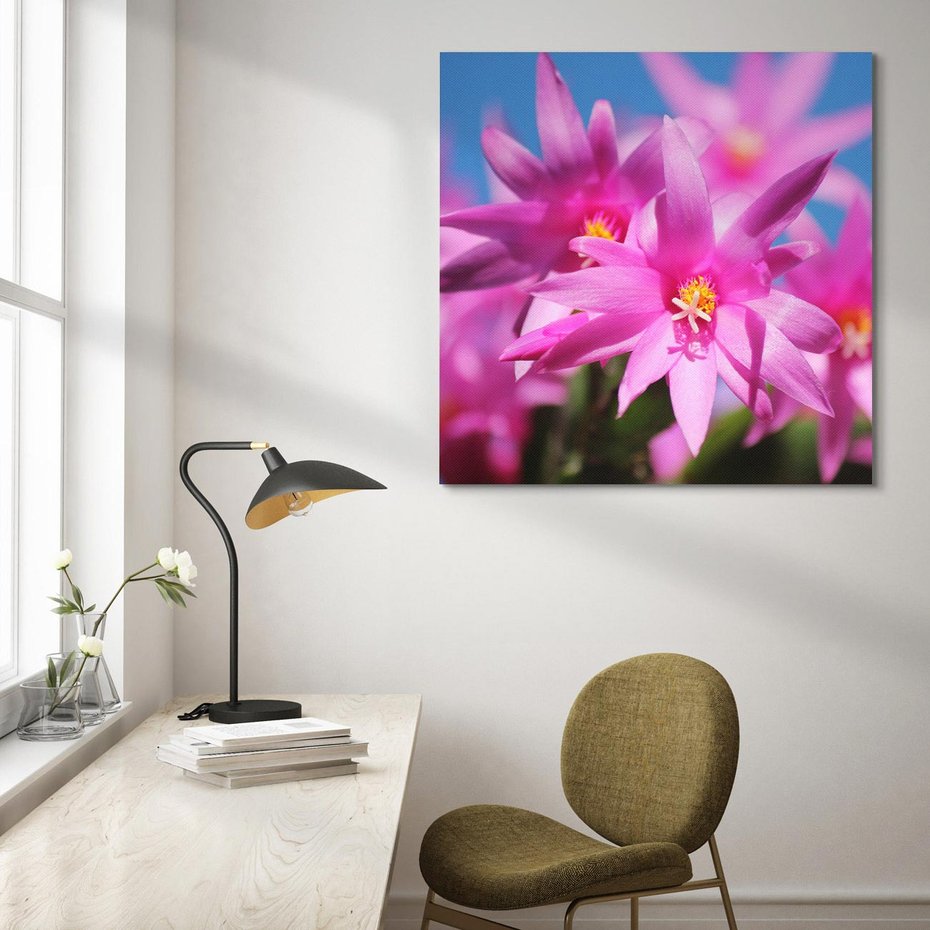 Obraz na płótnie 50x50 - Kwiatowy urok - kwiat, kwiaty