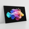 Obraz na płótnie 70x50 - Tęczowa Piękność - kolorowa tęczowa ryba, mocny akcent na czarnym tle