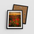 Plakat w ramie 40x50 - Maki przy zachodzie słońca - maki, zachód - rama czarna