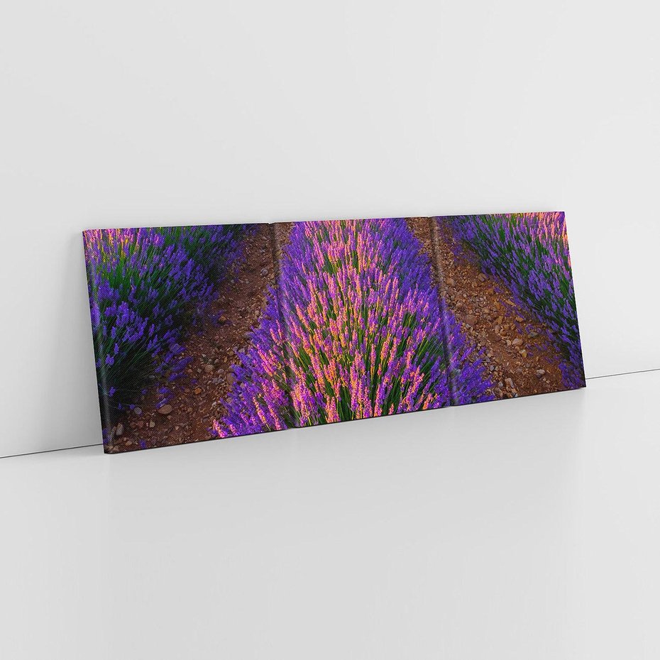 Obraz na płótnie 120x40 - Fioletowa Magia - pole, lawendy