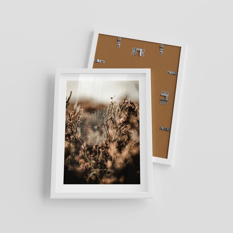 Plakat w ramie 30x40 - Jesienny Mikrokosmos - suchetrawy, jesienny klimat - rama biała