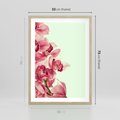 Plakat w ramie 50x70 - Orchidea - delikatne kwiaty - orchidea, kwiaty - rama drewno