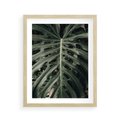 Plakat w ramie 40x50 - Majestatyczny Liść Monstery - liść monstery, majestatyczny liść - rama drewno