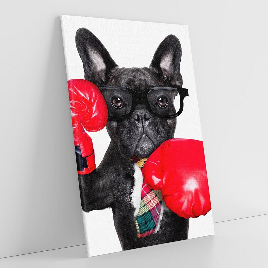 Obraz na płótnie 80x120 - Boksujący mops - pies - boks, mops