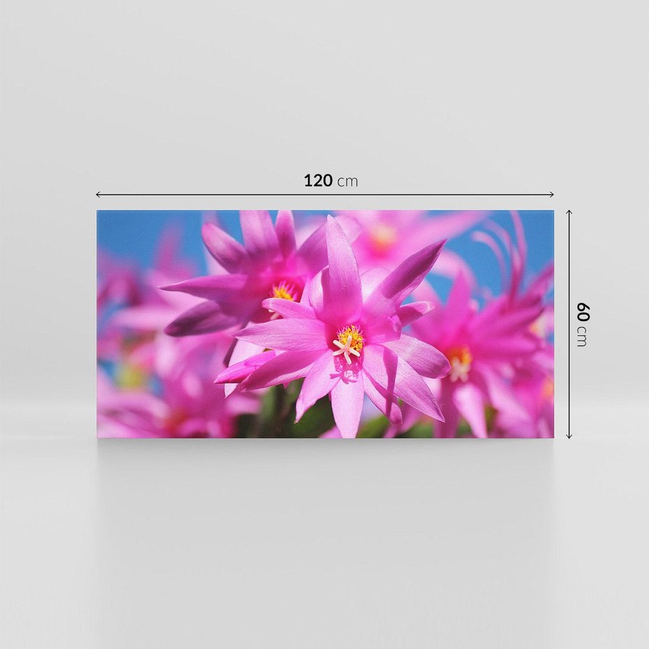 Obraz na płótnie 120x60 - Kwiatowy urok - kwiat, kwiaty