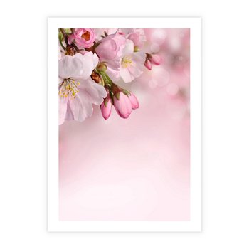 Plakat bez ramy 21x30 - Kwitnąca wiśnia: delikatność natury - kwitnąca, wiśnia