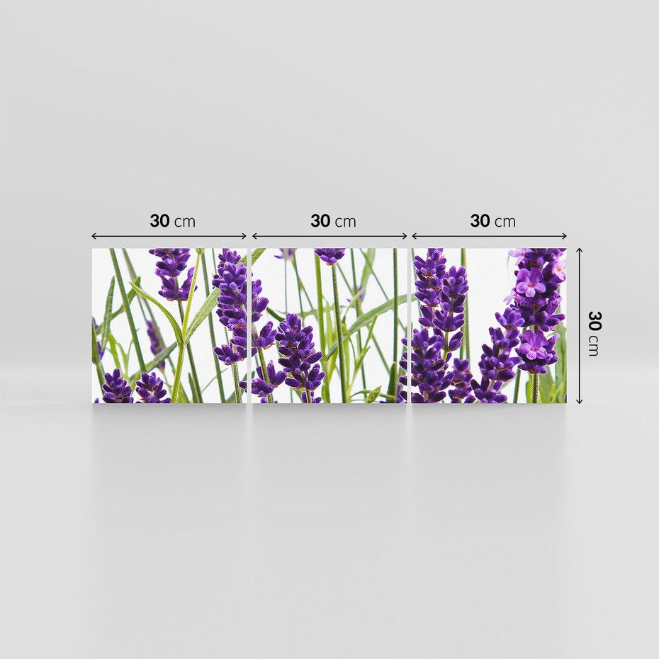 Obraz na płótnie 90x30 - Fioletowa harmonia lawendy - lawenda, fiolet