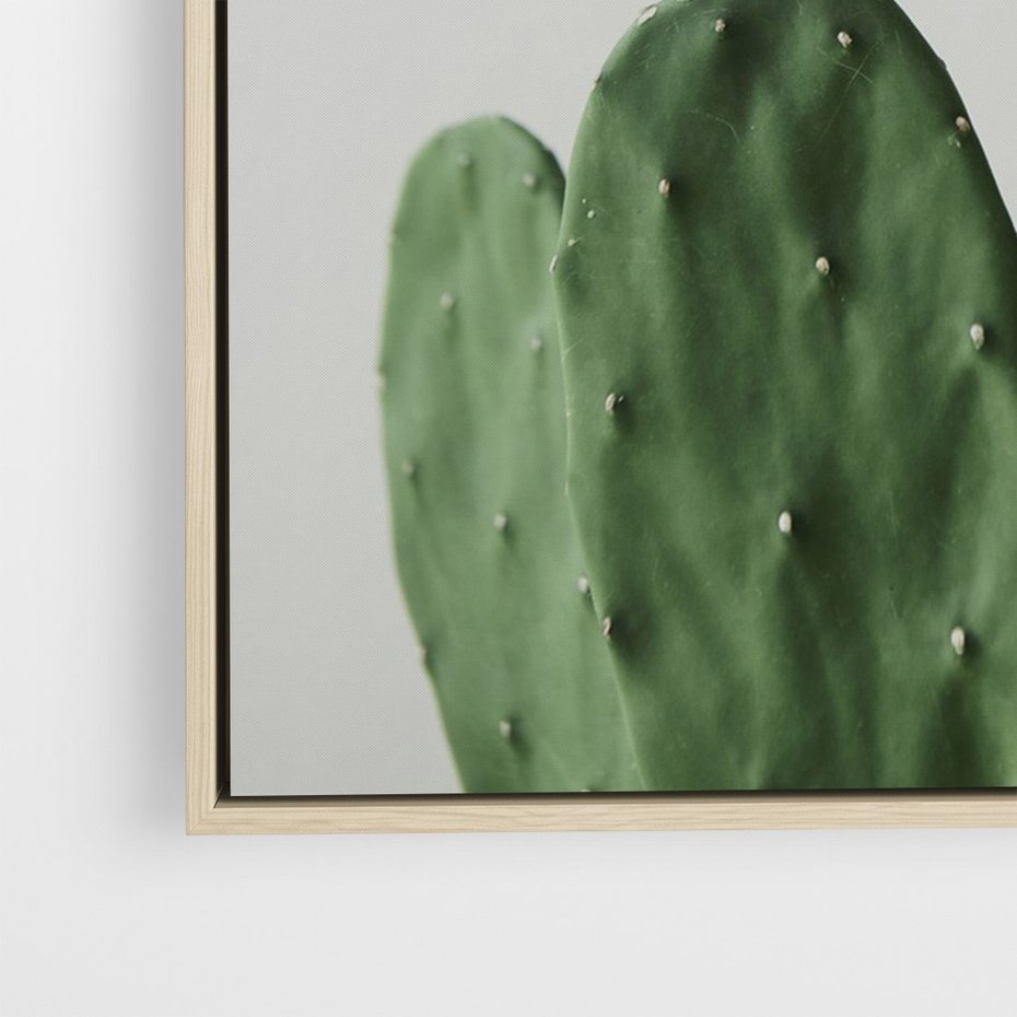 Obraz w ramie 50x70 - Majestatyczne Wysokości - kaktusy, liście - rama drewno