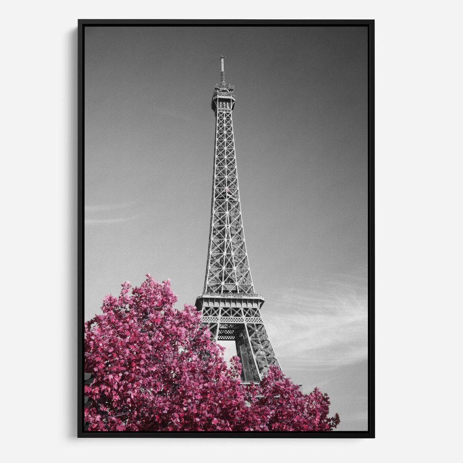 Obraz w ramie 50x70 - Różowy Paryż - czarno białe zdjęcie, wieża eiffla - rama czarna