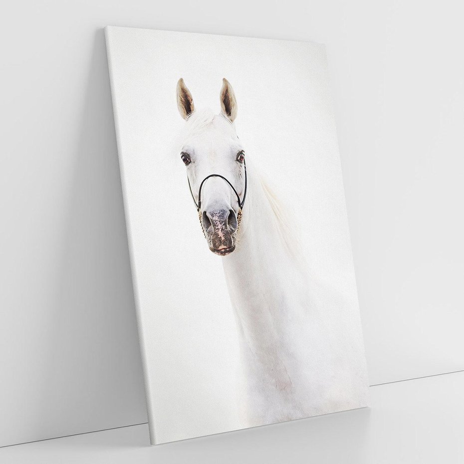 Obraz na płótnie 80x120 - Elegancja białego konia - biały, koń