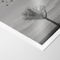 Plakat bez ramy 21x30 - Samotne Drzewo - samotne drzewo w polu, czarno białe zdjęcie