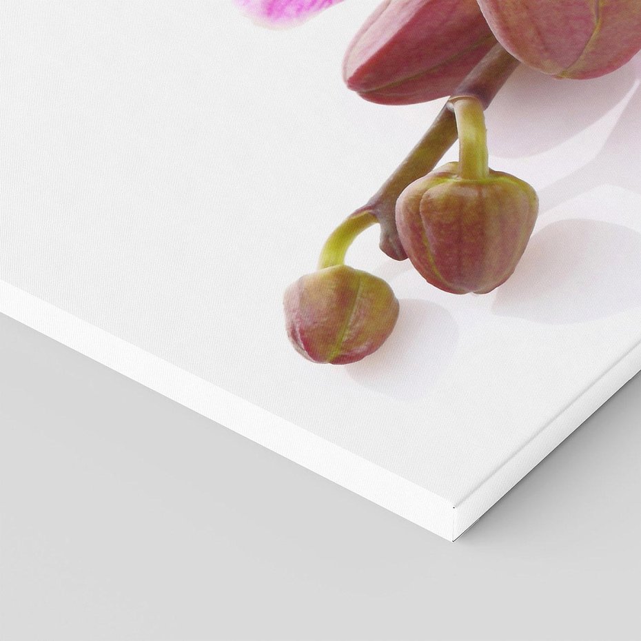 Obraz na płótnie 100x50 - Elegancka orchidea w pełnym rozkwicie - orchidea, kwiat