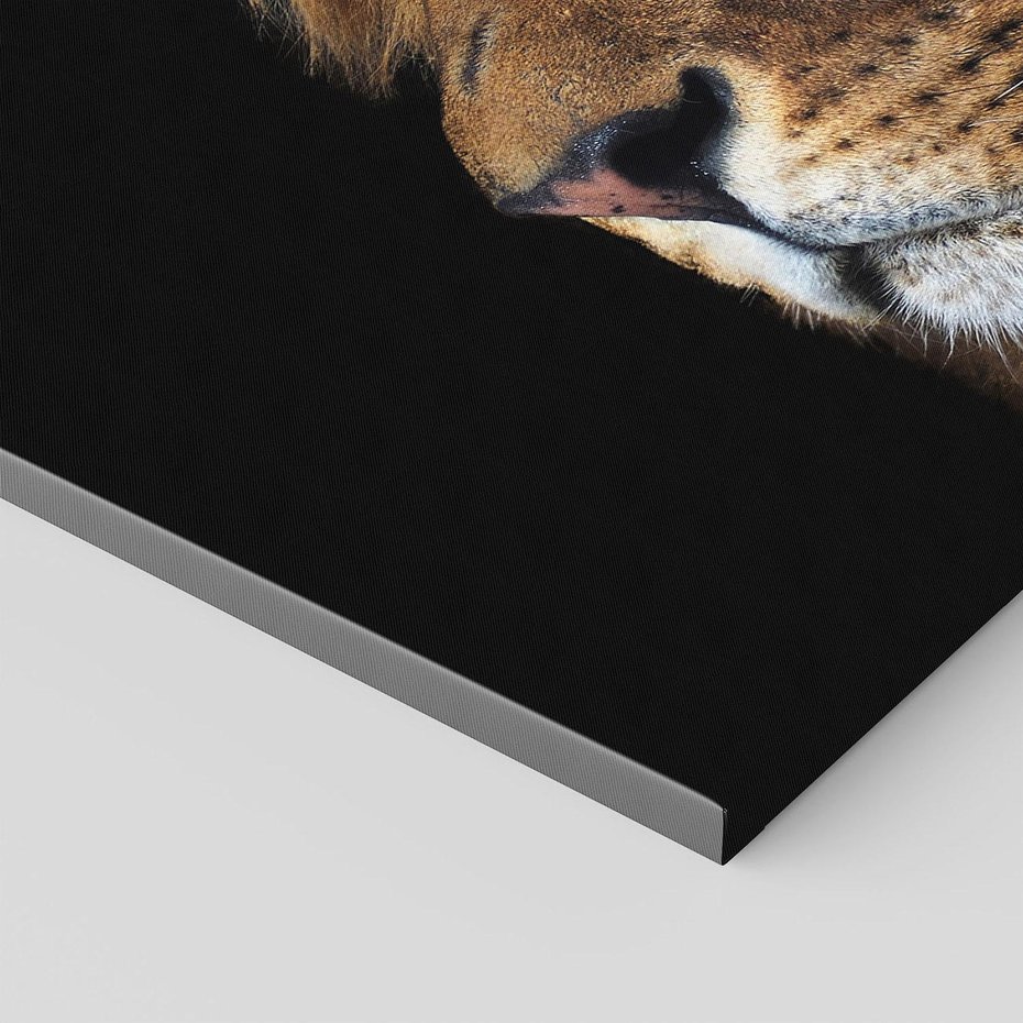 Obraz na płótnie 120x80 - Władca Dzikiej Przyrody - lew, król