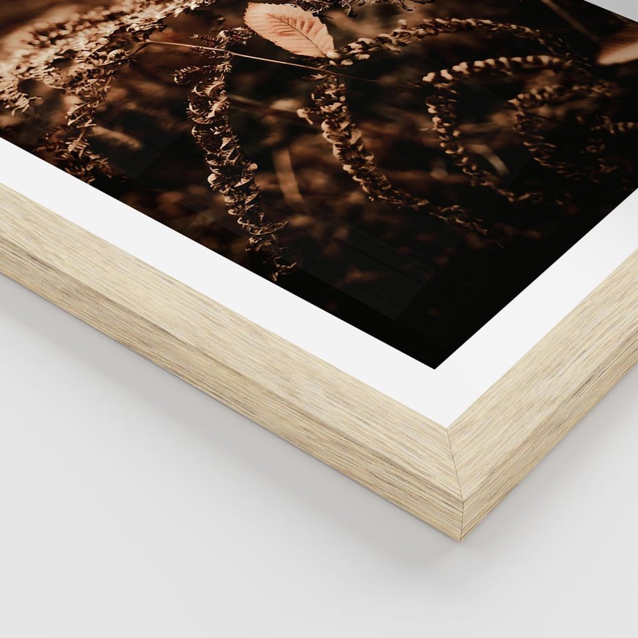 Plakat w ramie 50x70 - Gałęzie i Liść w Brązowej Tonacji - suche gałęzie, liść - rama drewno
