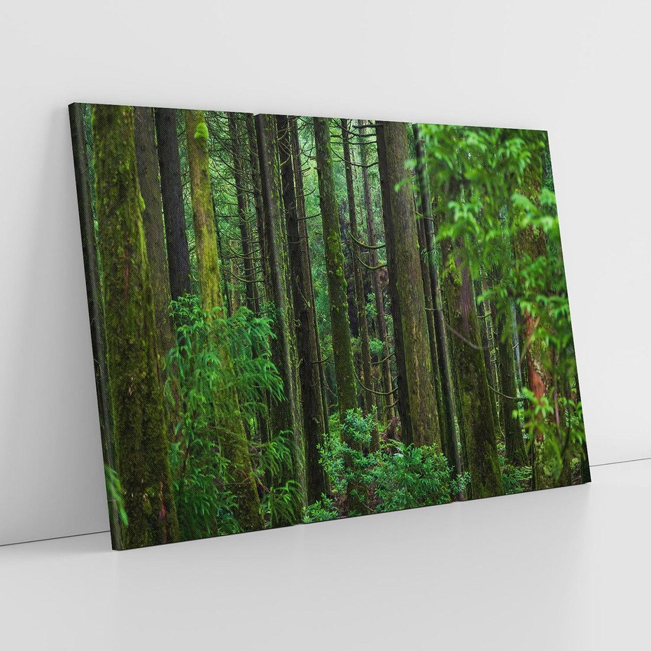 Obraz na płótnie 120x80 - Mistyka leśnej głuszy - las, drzewa