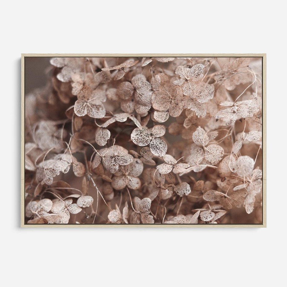 Obraz w ramie 70x50 - Przemijająca Piękność - fotografia, zbliżenie - rama drewno