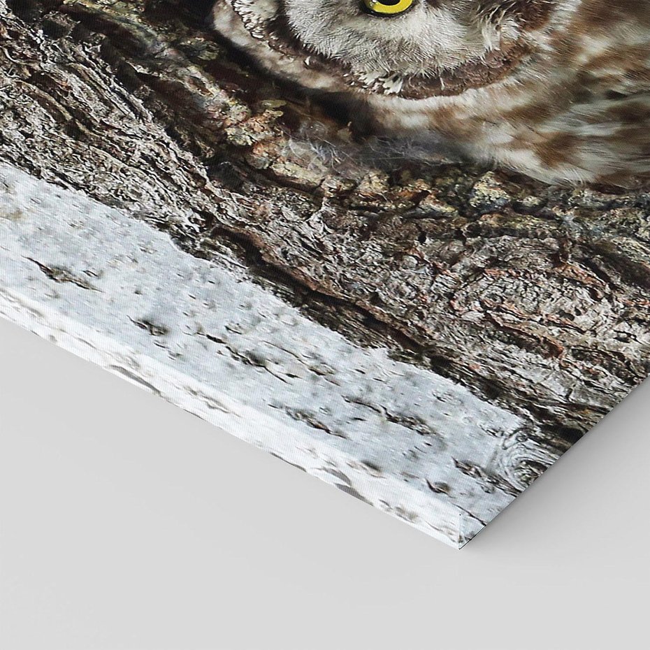 Obraz na płótnie 70x50 - Tajemniczy W świecie Nocy - sowa, dziupla