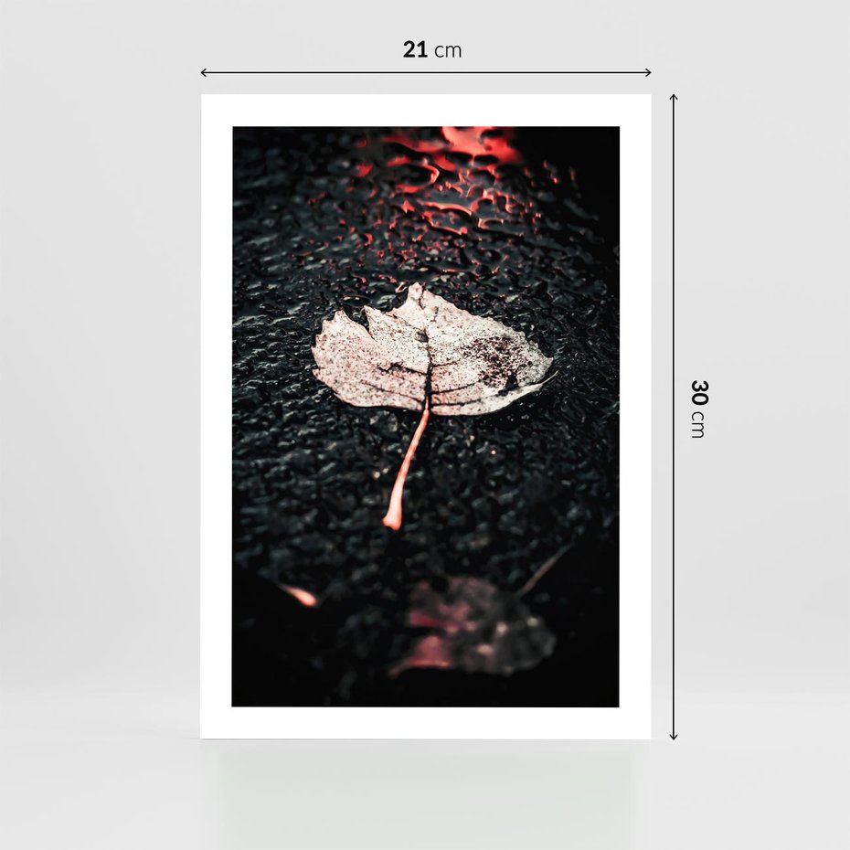 Plakat bez ramy 21x30 - Jesień w Detalu: Liść na Mokrej Drodze - liść, jesień