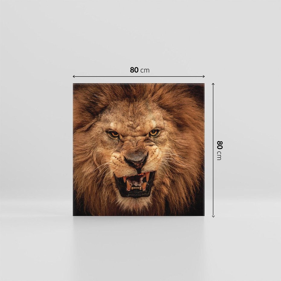 Obraz na płótnie 80x80 - Władca Sawanny - lew, sawanna