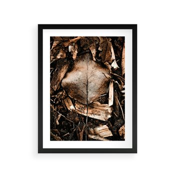 Plakat w ramie 30x40 - Samotny Liść - liść, brąz - rama czarna