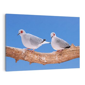 Obraz na płótnie 100x70 - Gołębie w locie - gołębie, gołąb