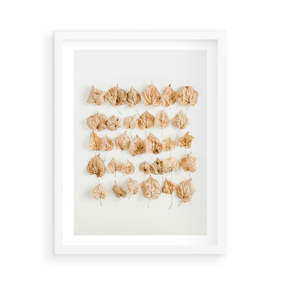 Plakat w ramie 50x70 - Liście Złotego Sezonu - kompozycja z suchych żółtych liści - rama biała