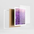 Plakat w ramie 40x50 - Fioletowa harmonia lawendy - lawenda, fiolet - rama biała